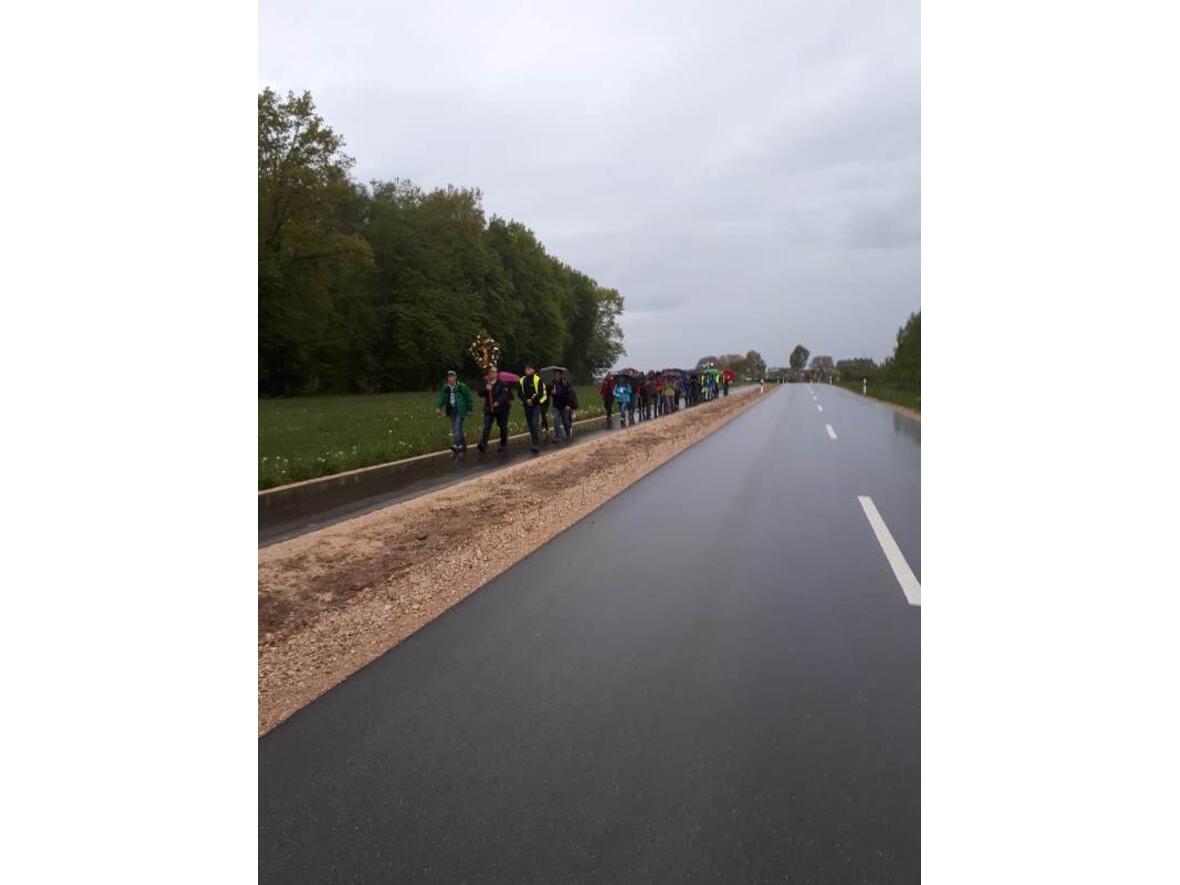 Die Pilger auf dem Weg....