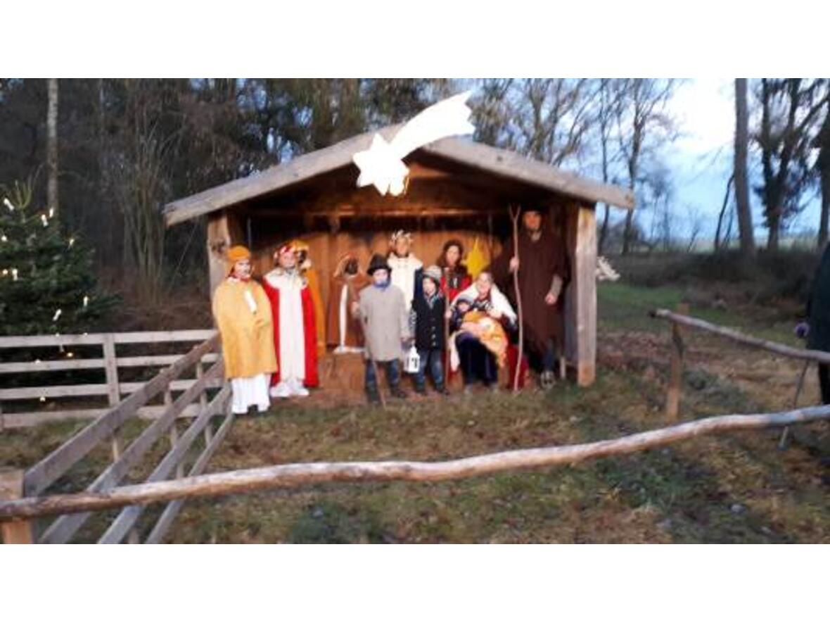 waldweihnacht-beim-klostergut-rettenbach3638503