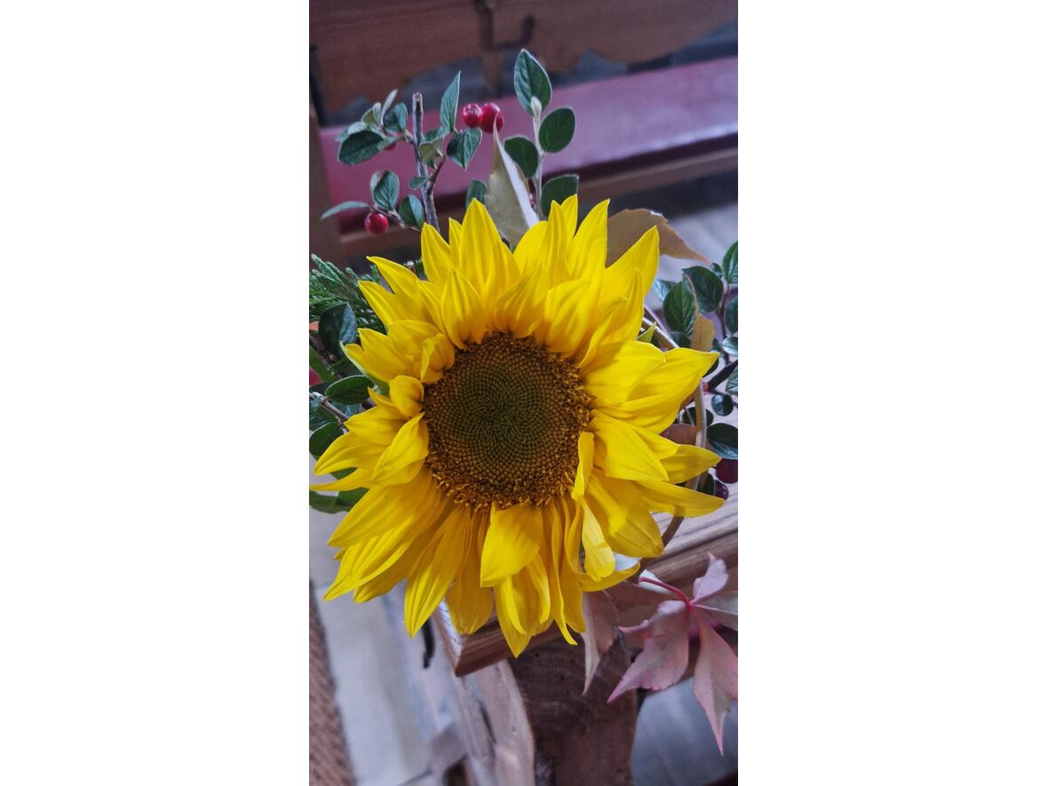 erntedank-in-st-martin-baindlkirch4902094